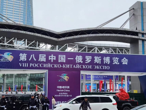 չڰ˽жóײ